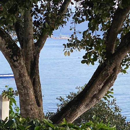 Pescador View - Beachfront & Nearby The Ocean Hostels & Restaurant โมอัลโบอัล ภายนอก รูปภาพ