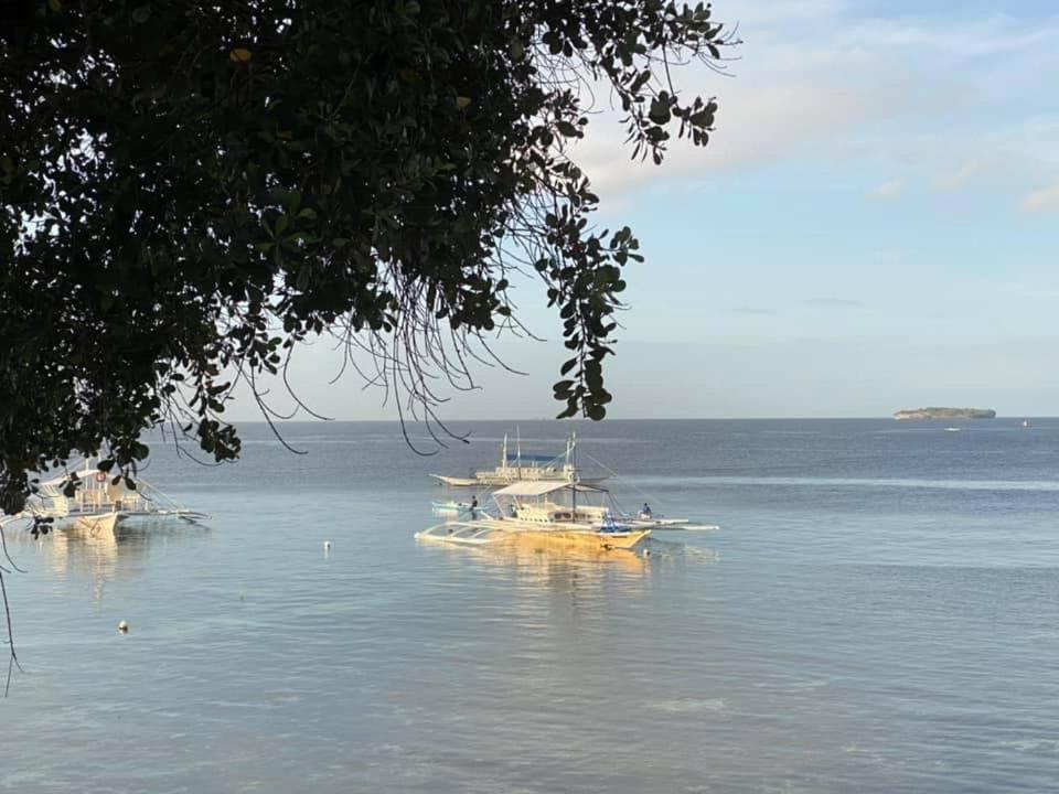 Pescador View - Beachfront & Nearby The Ocean Hostels & Restaurant โมอัลโบอัล ภายนอก รูปภาพ